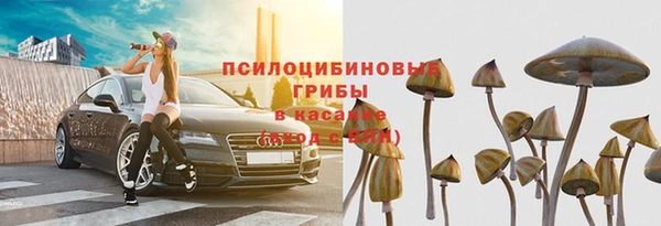 дмт Верея
