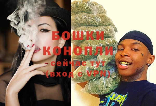дмт Верея